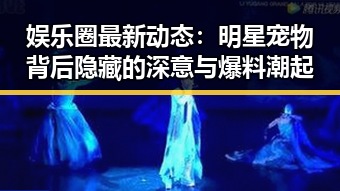 网站地图