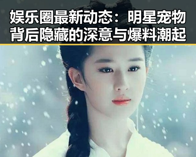 娱乐圈最新动态：明星宠物背后隐藏的深意与爆料潮起