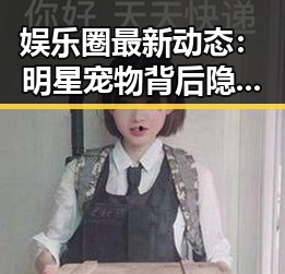 娱乐圈最新动态：明星宠物背后隐藏的深意与爆料潮起